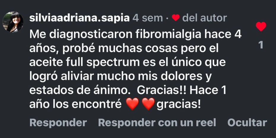 Comentario de Instagram 1